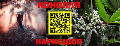 jwh Будённовск