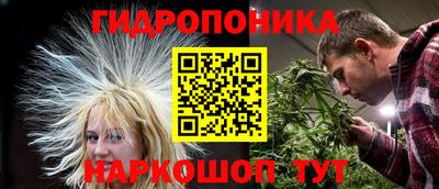 jwh Будённовск