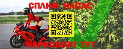 jwh Будённовск