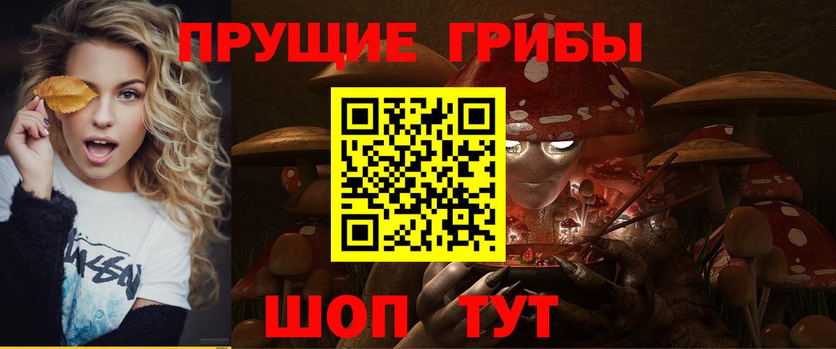 Галлюциногенные грибы мицелий  Вход с VPN  Пенза 